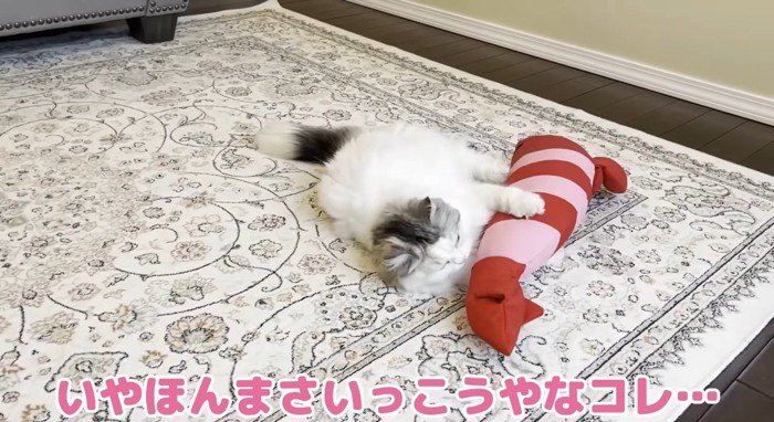 ケリぐるみで遊ぶ猫