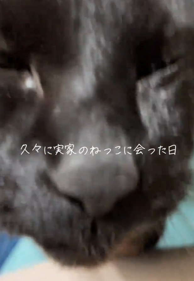 カメラに近づくまりんちゃん