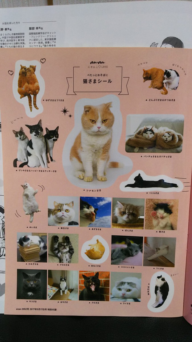 猫さまシール