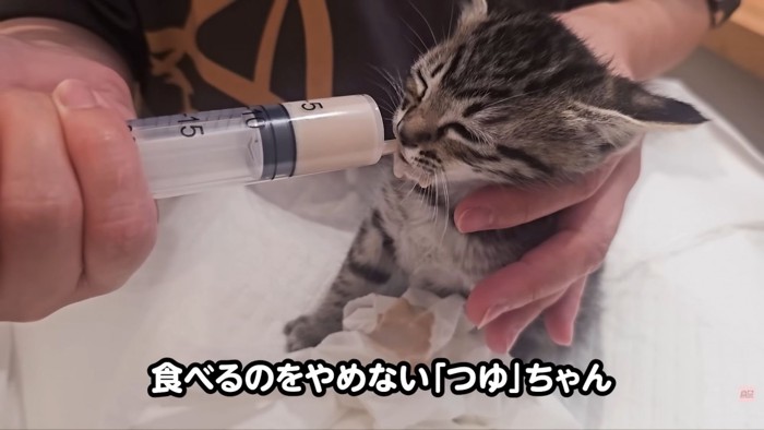 テロップ「食べるのをやめない~」