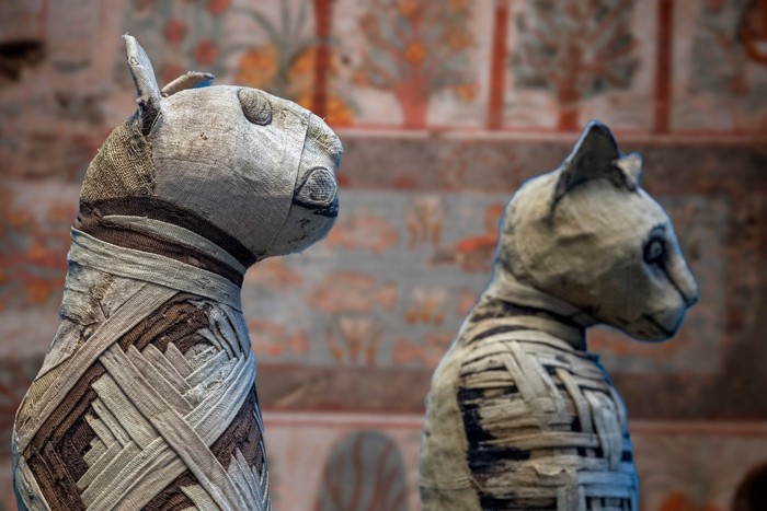 古代エジプト時代の猫のミイラ