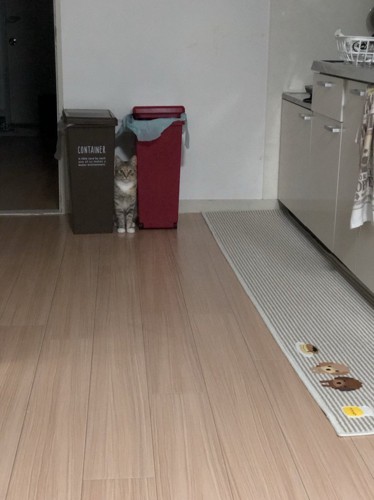 引きのアングルで撮影したキッチン