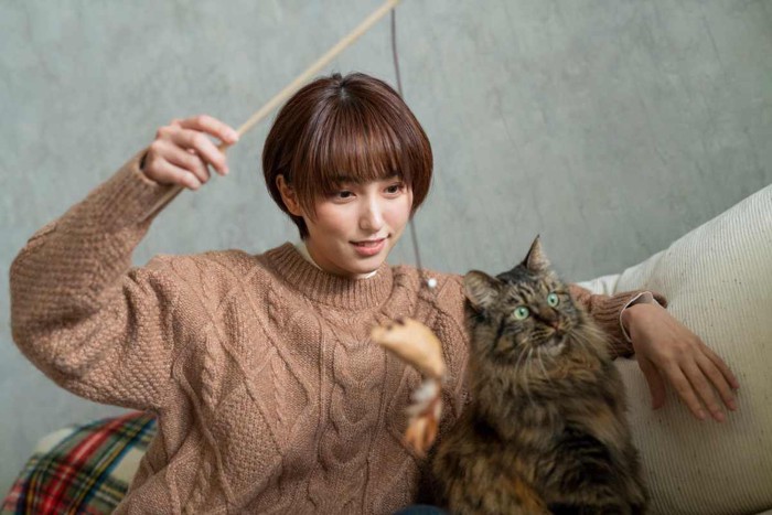 ねこじゃらしで猫と遊ぶ女性