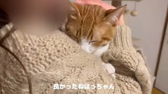 猫を抱っこする女性