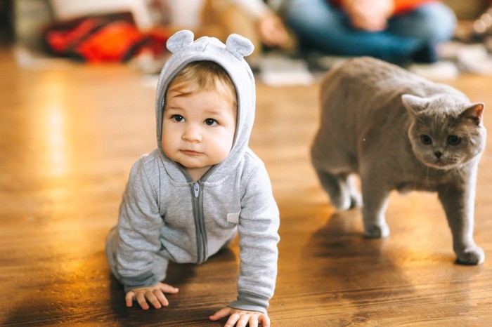 赤ちゃんと猫