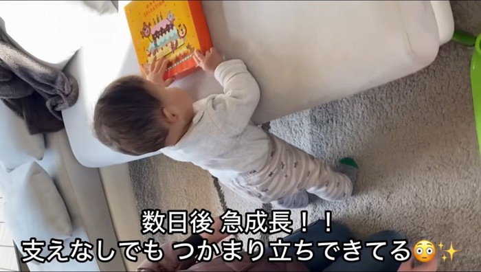 ソファに手をついて立ち上がる赤ちゃん