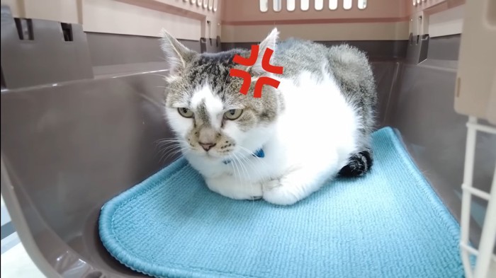 怒り