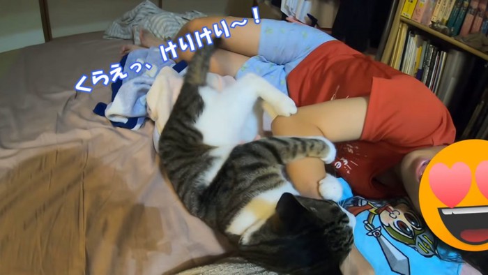 娘さんの腕にけりけりする猫