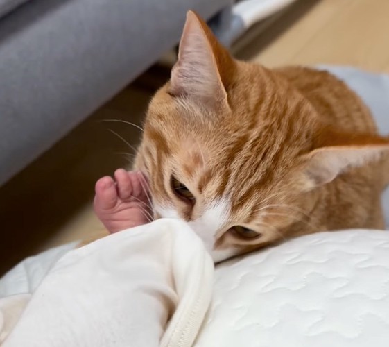 「足首の匂いもチェックしちゃおう」