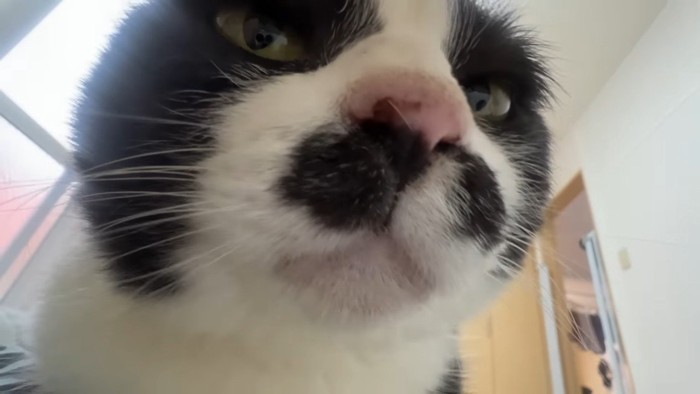 ドアップ