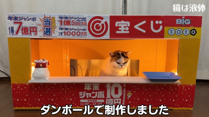 宝くじ売り場に座る三毛猫