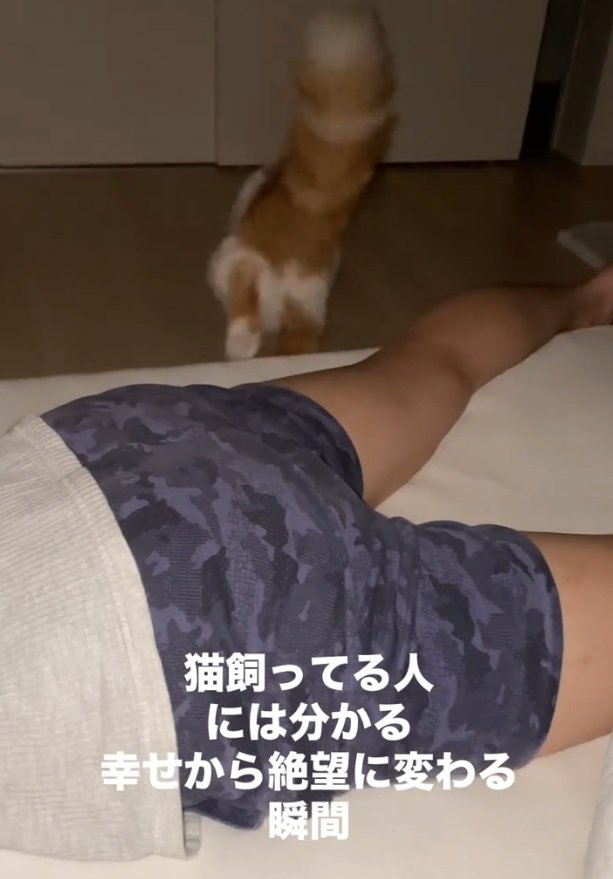 ベッドから下りる