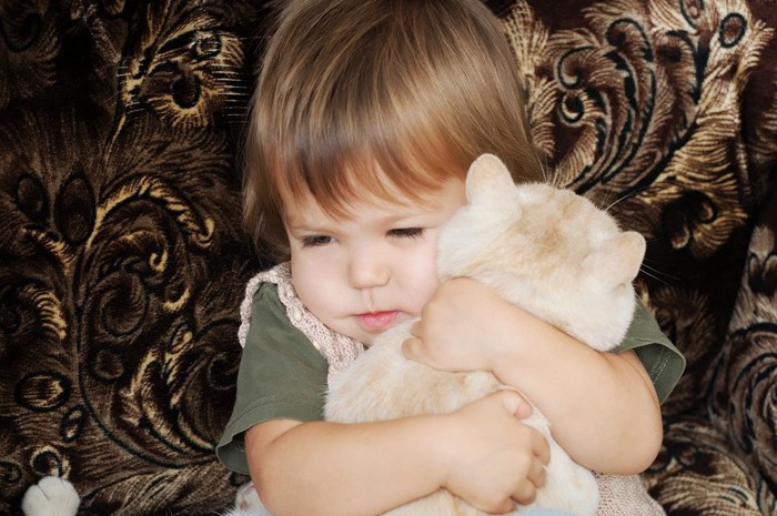 子供に抱っこされる猫