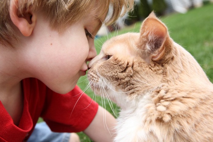 子どもと鼻キスする茶白