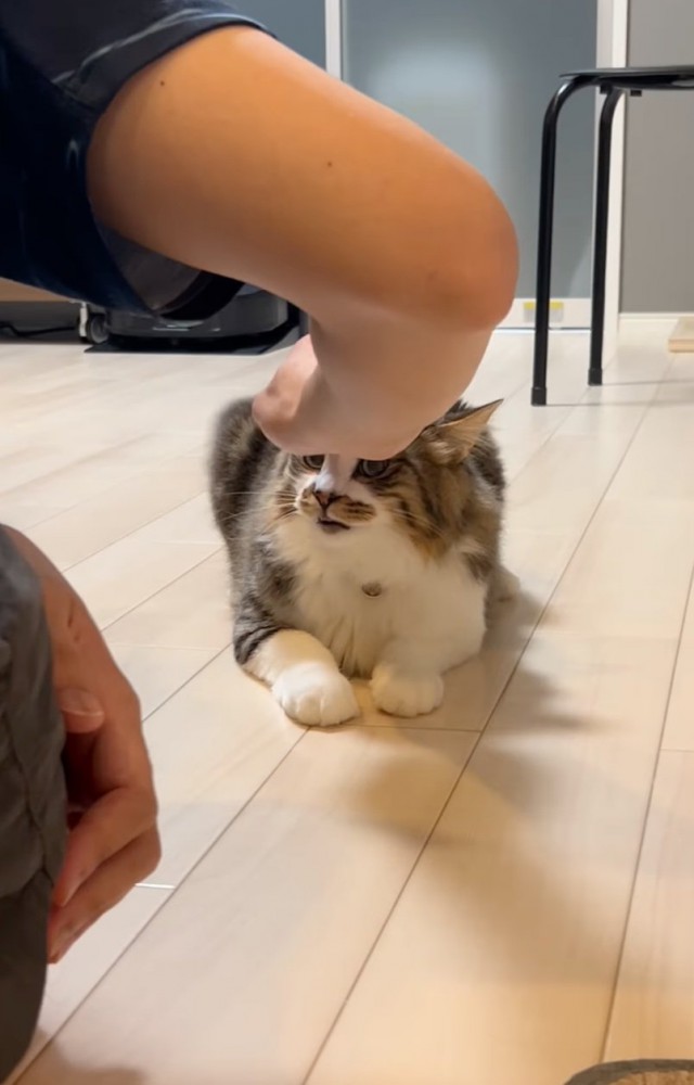 頭をポンポン