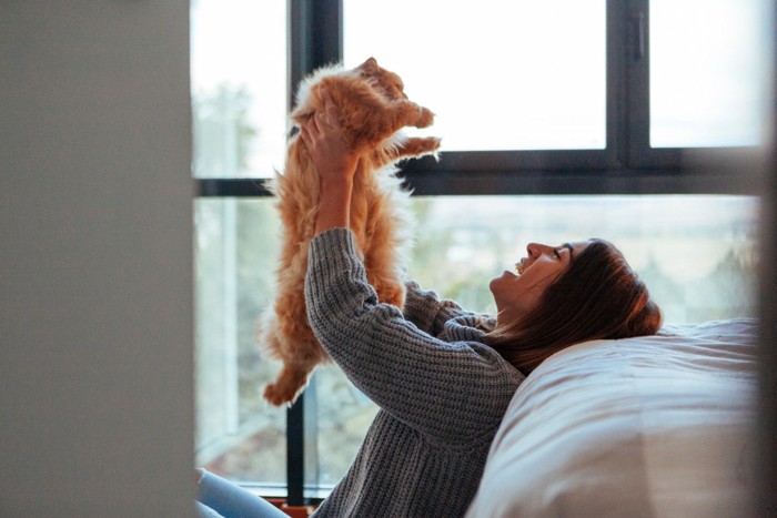 猫を抱き上げる飼い主