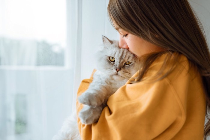 女性に抱っこされる猫