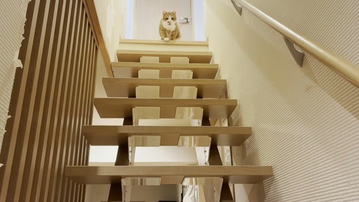 階段の上