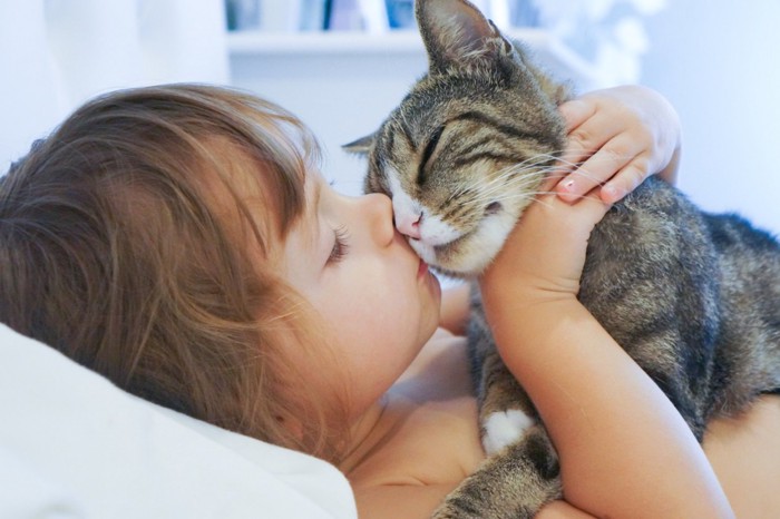 猫と子ども