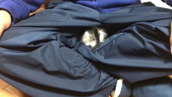 隙間へ真っ逆さま