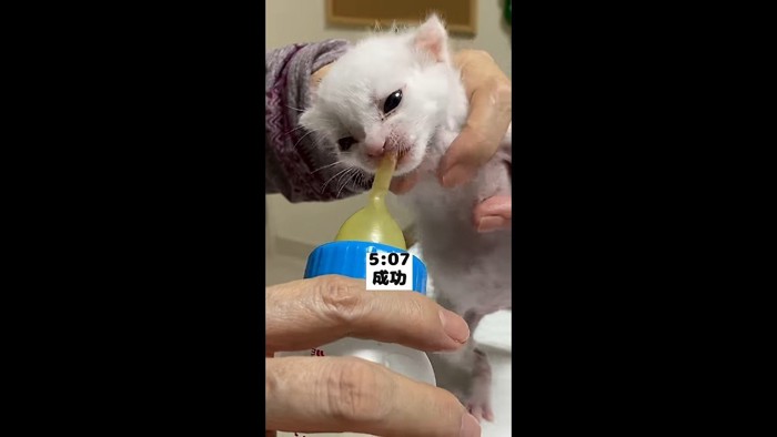 成功
