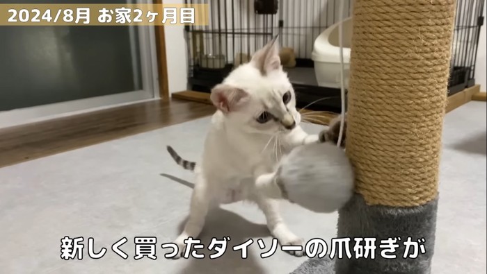 お家2か月目