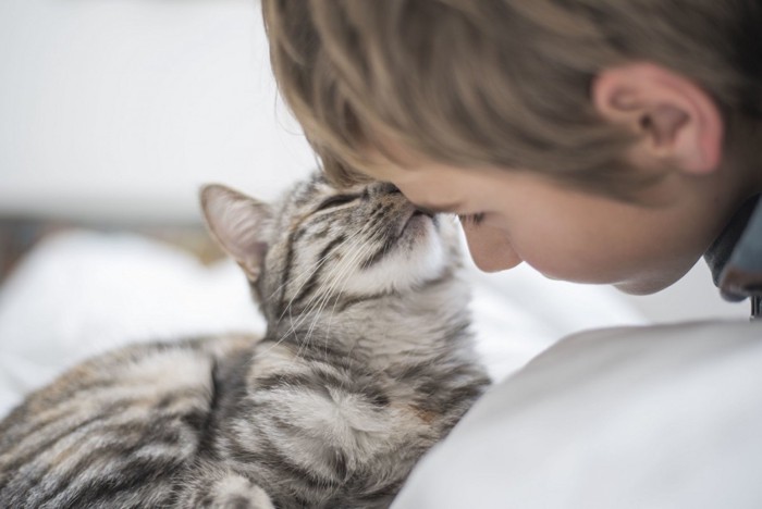 人に額をつける猫