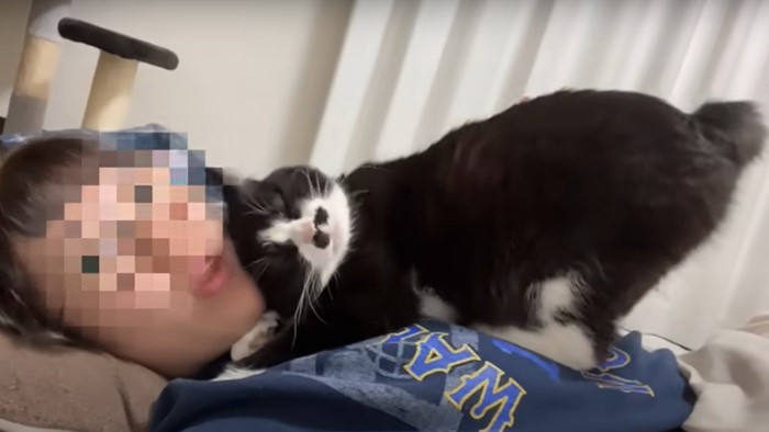 飼い主の顔にスリスリする猫