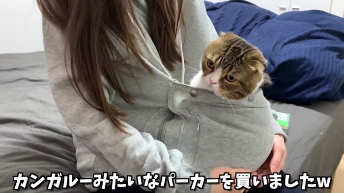 ポケットに入る猫