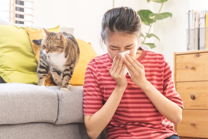 猫と鼻をかむ女性