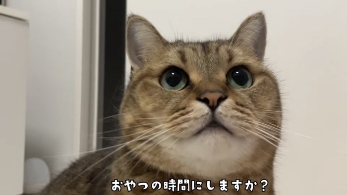 「おやつの時間にしますか?」のテロップ写真2