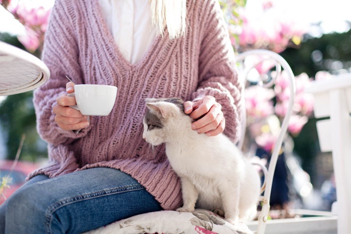 カップを持つ女性と甘える猫