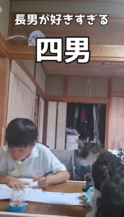 宿題をしている男の子と猫