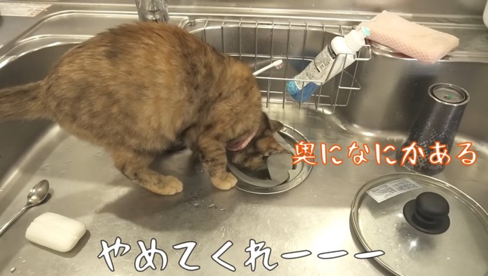 シンクで