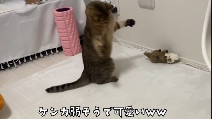 立ち上がって