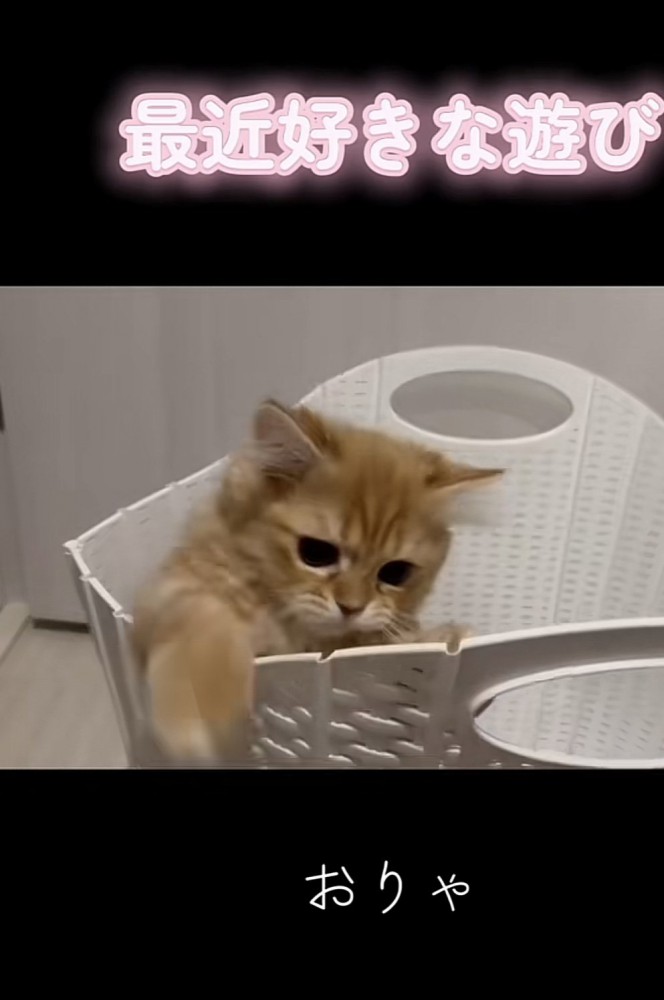 「おりゃ」のテロップ写真2