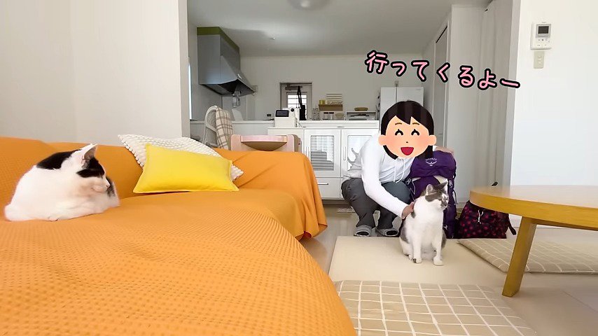 行ってくるよー