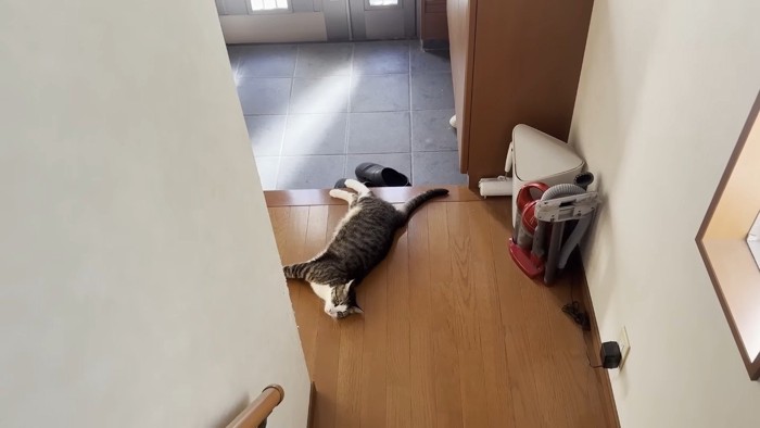 玄関前