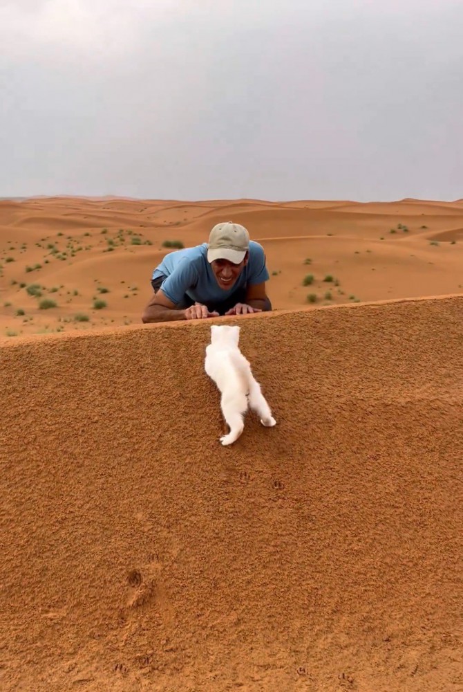 砂漠で遊ぶ人と猫