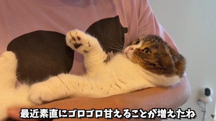 テロップ「最近素直に~」