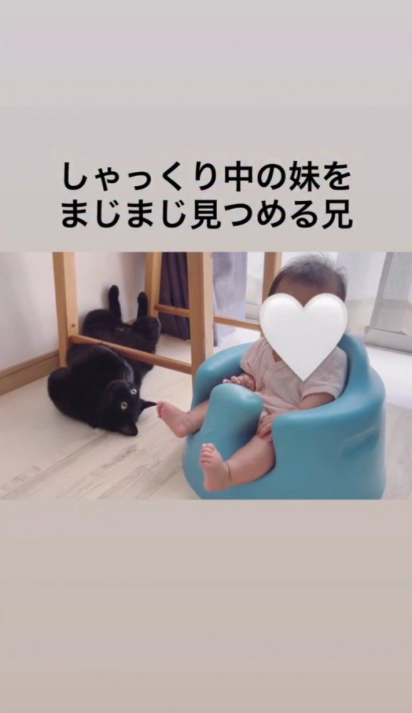 猫と子ども2