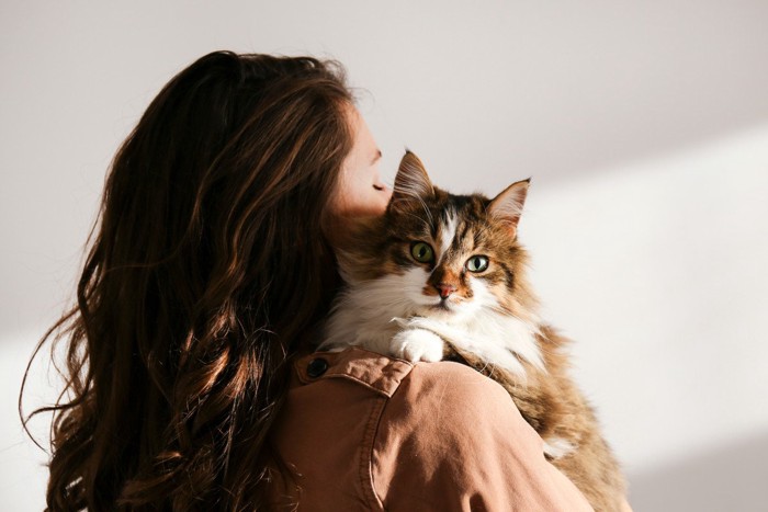 女性に抱かれて見つめてくる猫