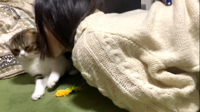 飼い主にびっくりする猫