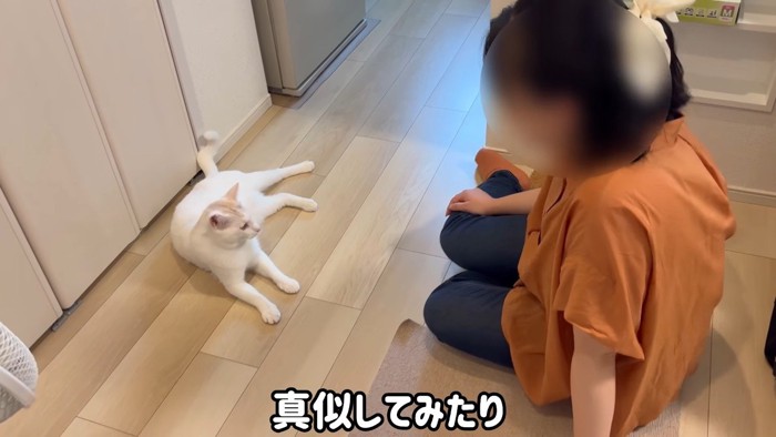 真似してみたり
