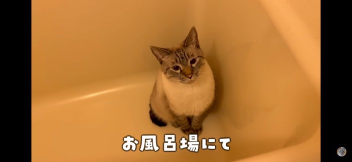 待つ