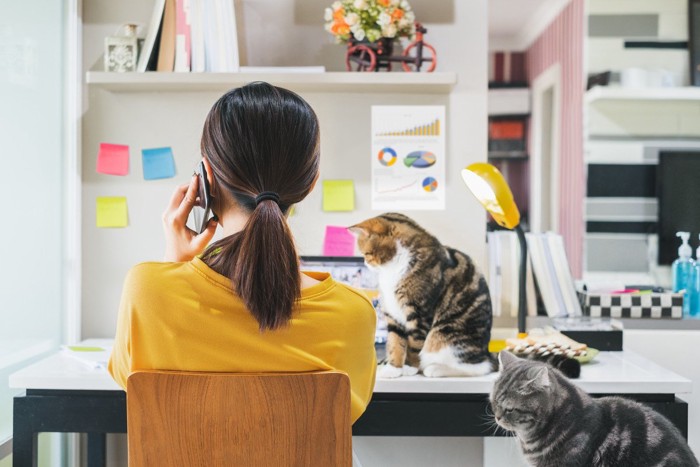 二匹の猫と女性