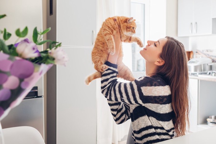 女性に抱っこされている猫