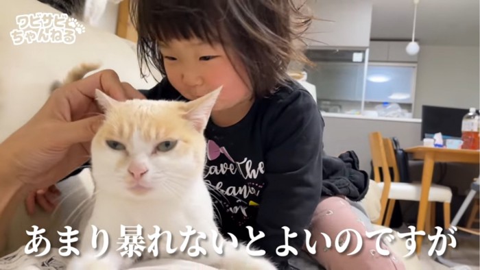 パパの上に乗る猫と子供