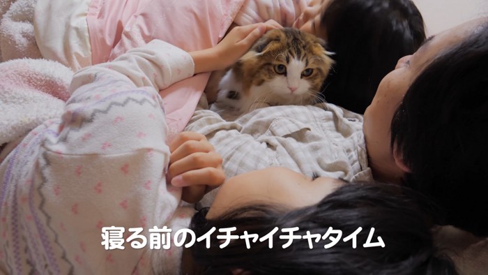 人のお腹の上に乗る猫