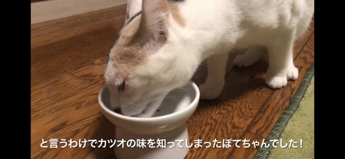 ごちそうさま